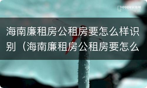 海南廉租房公租房要怎么样识别（海南廉租房公租房要怎么样识别真假）