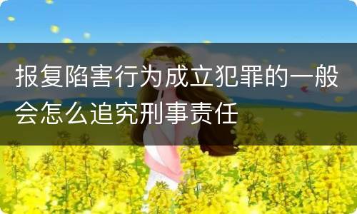 报复陷害行为成立犯罪的一般会怎么追究刑事责任