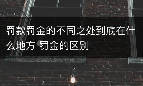 罚款罚金的不同之处到底在什么地方 罚金的区别