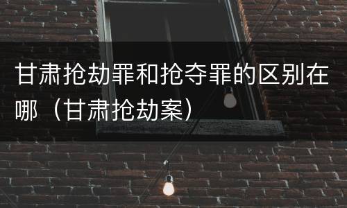 甘肃抢劫罪和抢夺罪的区别在哪（甘肃抢劫案）