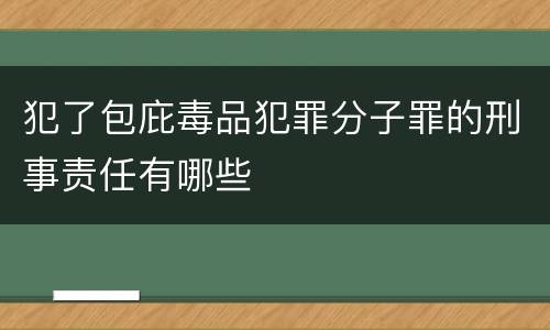 犯了包庇毒品犯罪分子罪的刑事责任有哪些