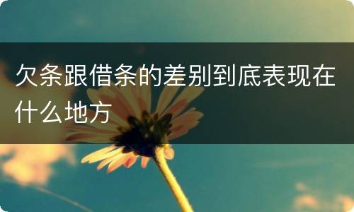 欠条跟借条的差别到底表现在什么地方
