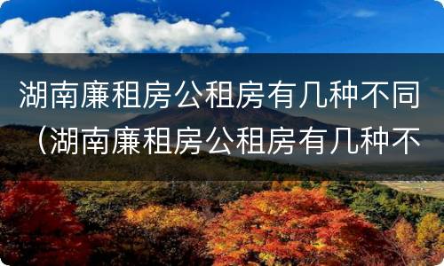 湖南廉租房公租房有几种不同（湖南廉租房公租房有几种不同类型）