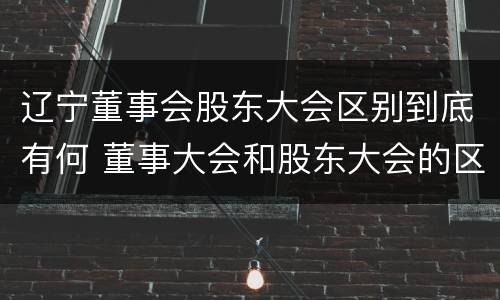 辽宁董事会股东大会区别到底有何 董事大会和股东大会的区别