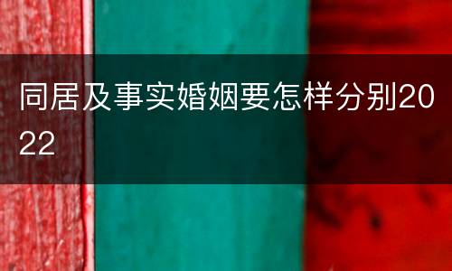 同居及事实婚姻要怎样分别2022