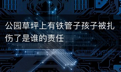 公园草坪上有铁管子孩子被扎伤了是谁的责任