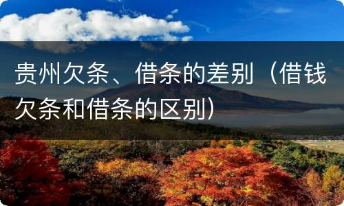 贵州欠条、借条的差别（借钱欠条和借条的区别）
