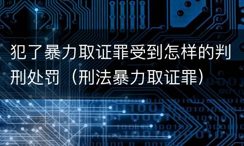 犯了暴力取证罪受到怎样的判刑处罚（刑法暴力取证罪）