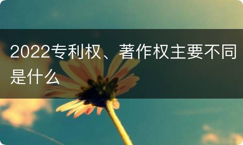 2022专利权、著作权主要不同是什么
