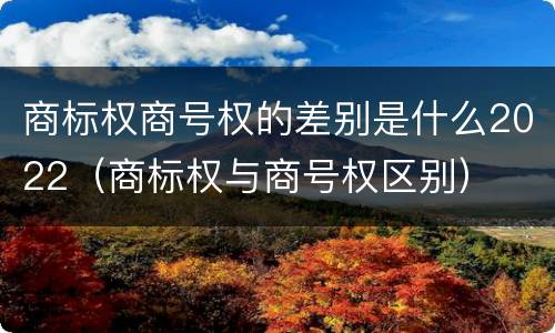 商标权商号权的差别是什么2022（商标权与商号权区别）