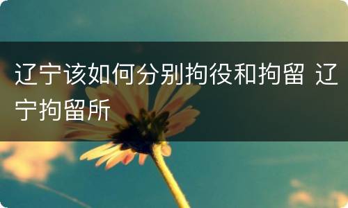 辽宁该如何分别拘役和拘留 辽宁拘留所
