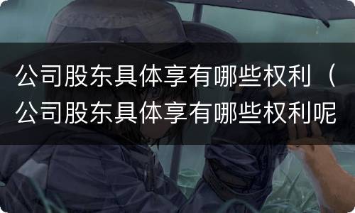 公司股东具体享有哪些权利（公司股东具体享有哪些权利呢）