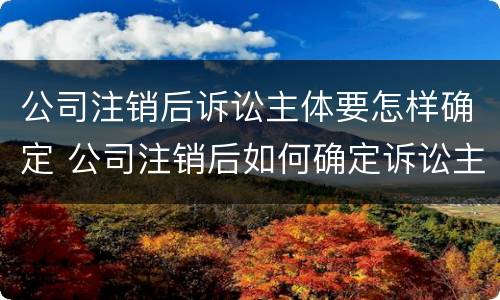 公司注销后诉讼主体要怎样确定 公司注销后如何确定诉讼主体
