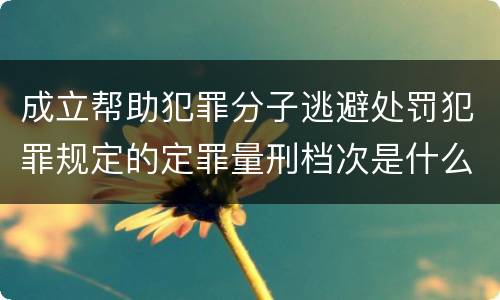 成立帮助犯罪分子逃避处罚犯罪规定的定罪量刑档次是什么样的