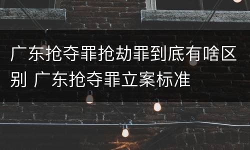 广东抢夺罪抢劫罪到底有啥区别 广东抢夺罪立案标准