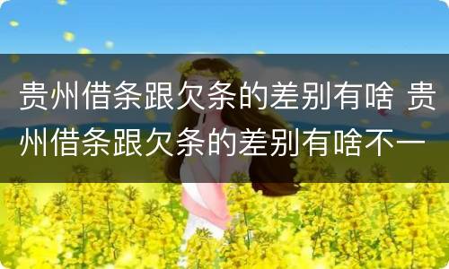贵州借条跟欠条的差别有啥 贵州借条跟欠条的差别有啥不一样
