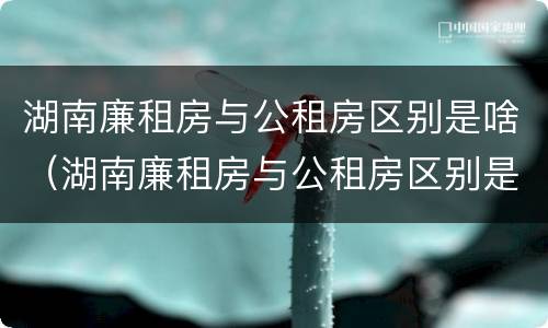 湖南廉租房与公租房区别是啥（湖南廉租房与公租房区别是啥啊）