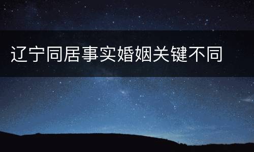 辽宁同居事实婚姻关键不同