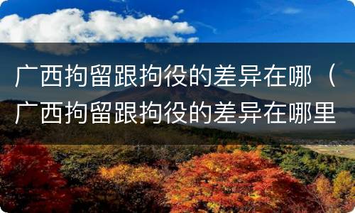 广西拘留跟拘役的差异在哪（广西拘留跟拘役的差异在哪里）