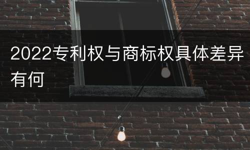 2022专利权与商标权具体差异有何