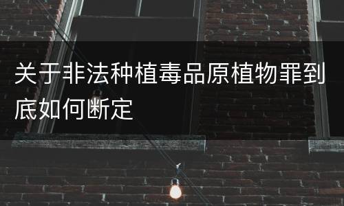 关于非法种植毒品原植物罪到底如何断定