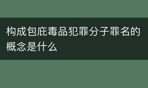 构成包庇毒品犯罪分子罪名的概念是什么