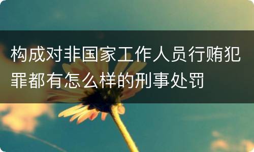 构成对非国家工作人员行贿犯罪都有怎么样的刑事处罚