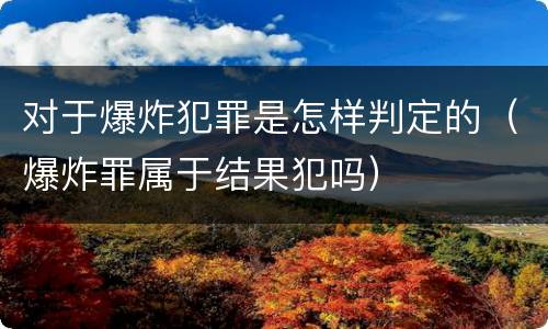 对于爆炸犯罪是怎样判定的（爆炸罪属于结果犯吗）