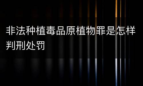 非法种植毒品原植物罪是怎样判刑处罚