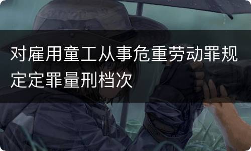 对雇用童工从事危重劳动罪规定定罪量刑档次