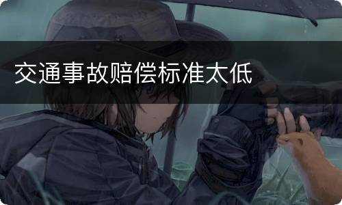 交通事故赔偿标准太低