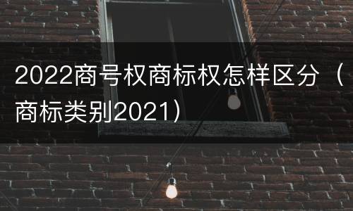 2022商号权商标权怎样区分（商标类别2021）