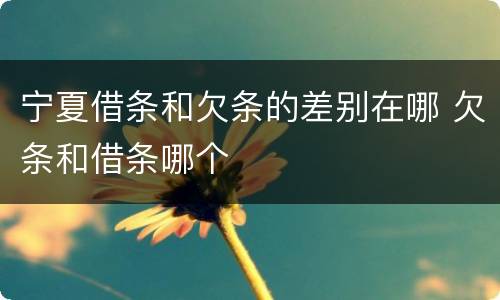 宁夏借条和欠条的差别在哪 欠条和借条哪个