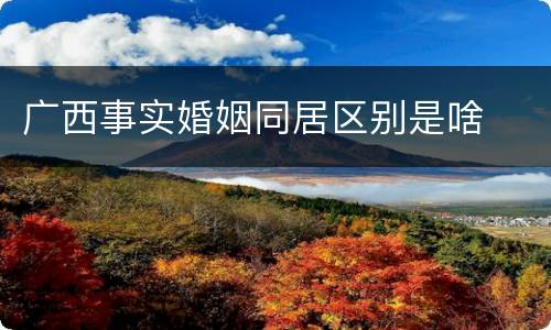 广西事实婚姻同居区别是啥