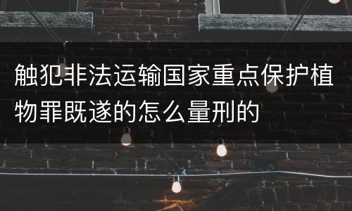 触犯非法运输国家重点保护植物罪既遂的怎么量刑的
