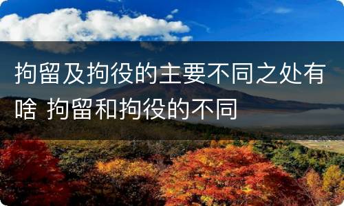拘留及拘役的主要不同之处有啥 拘留和拘役的不同