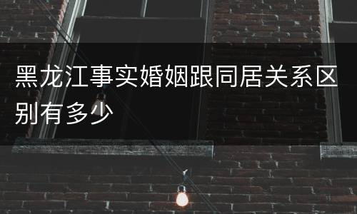 黑龙江事实婚姻跟同居关系区别有多少