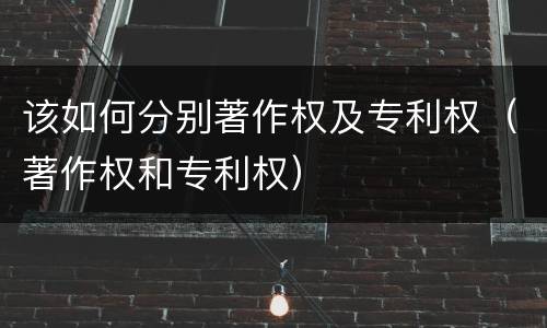 该如何分别著作权及专利权（著作权和专利权）