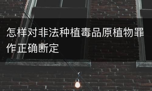 怎样对非法种植毒品原植物罪作正确断定
