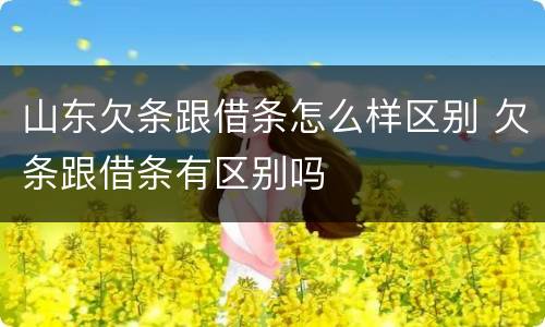 山东欠条跟借条怎么样区别 欠条跟借条有区别吗