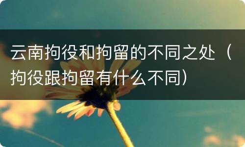 云南拘役和拘留的不同之处（拘役跟拘留有什么不同）