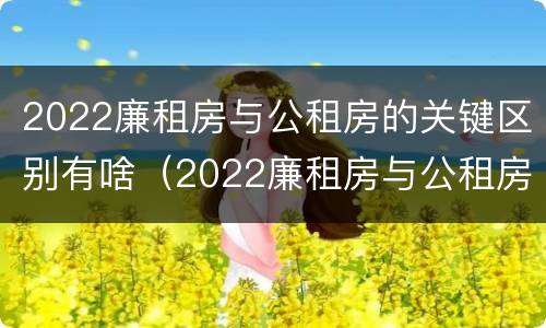2022廉租房与公租房的关键区别有啥（2022廉租房与公租房的关键区别有啥不同）