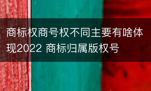 商标权商号权不同主要有啥体现2022 商标归属版权号