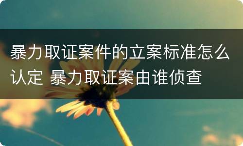 暴力取证案件的立案标准怎么认定 暴力取证案由谁侦查