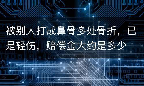 被别人打成鼻骨多处骨折，已是轻伤，赔偿金大约是多少