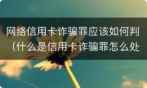 网络信用卡诈骗罪应该如何判（什么是信用卡诈骗罪怎么处罚）