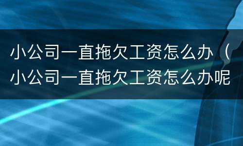 小公司一直拖欠工资怎么办（小公司一直拖欠工资怎么办呢）