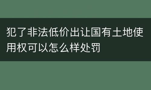 犯了非法低价出让国有土地使用权可以怎么样处罚