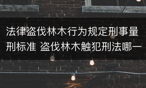 法律盗伐林木行为规定刑事量刑标准 盗伐林木触犯刑法哪一条