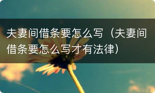 夫妻间借条要怎么写（夫妻间借条要怎么写才有法律）